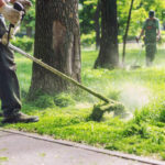 Aufgaben für Gartenbesitzer