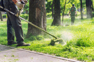 Aufgaben für Gartenbesitzer